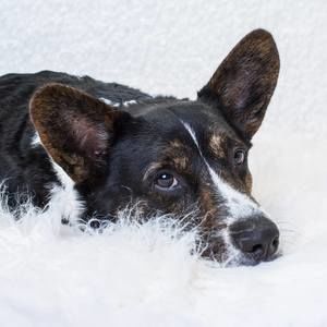 Meet your Posher, Gina